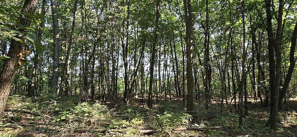 0 Nc #6277 Jasper, AR 72641  | Land/Lot