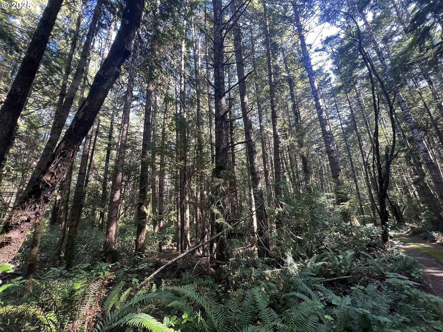 0 Laurel Rd #2000 Bandon, OR 97411  | Land/Lot