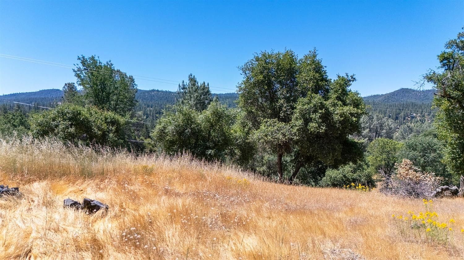 308 Longview St Groveland, CA 95321  | Land/Lot