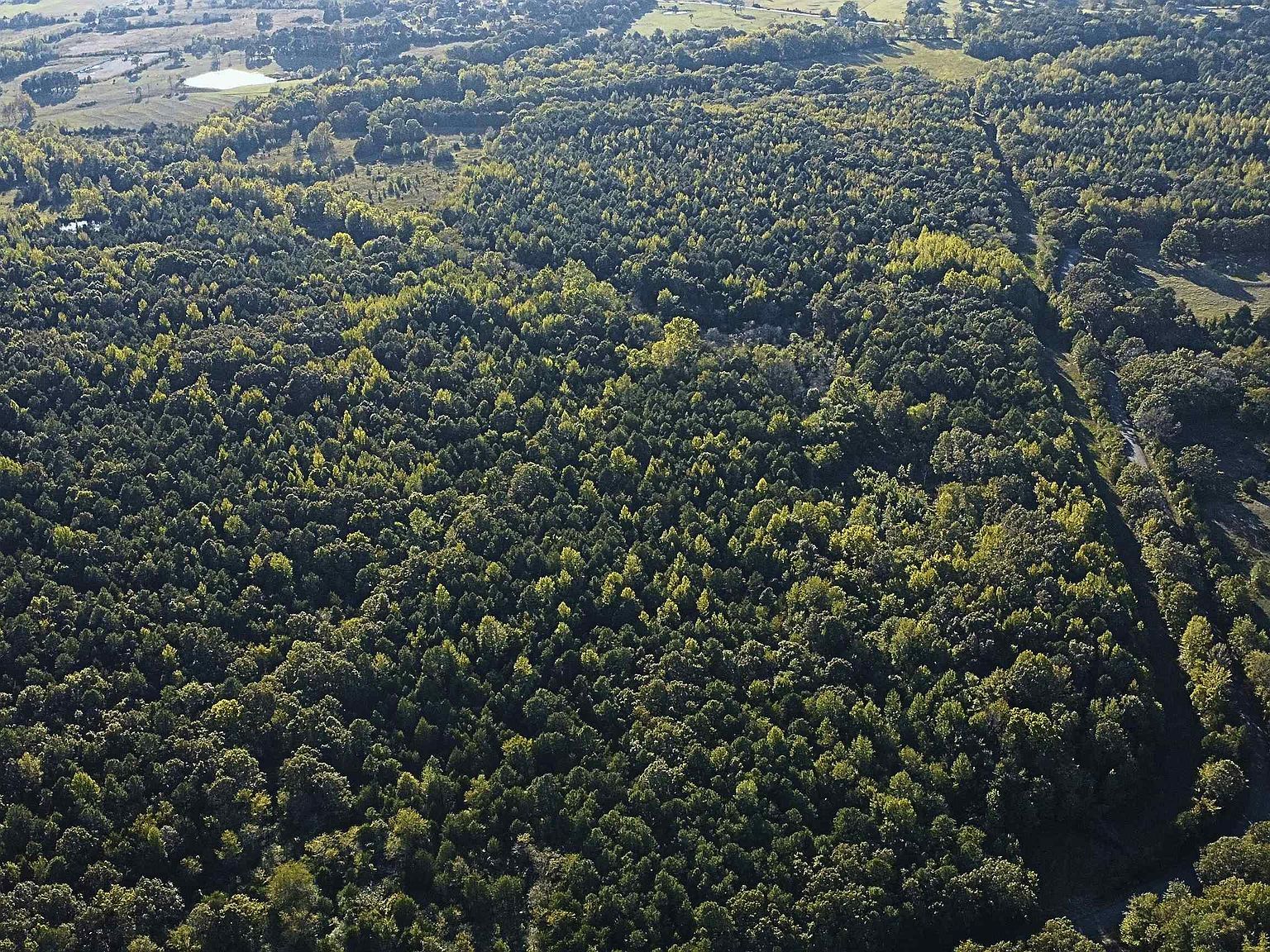 51 Shelton Rd S Bee Branch, AR 72013  | Land/Lot