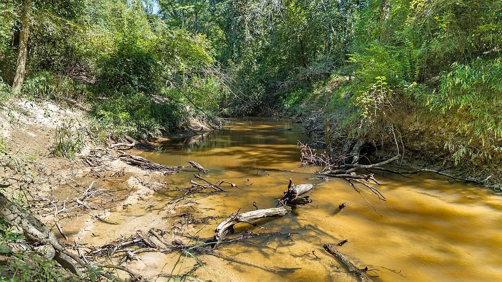 Fm 2626 Bon Wier, TX 75928  | Land/Lot