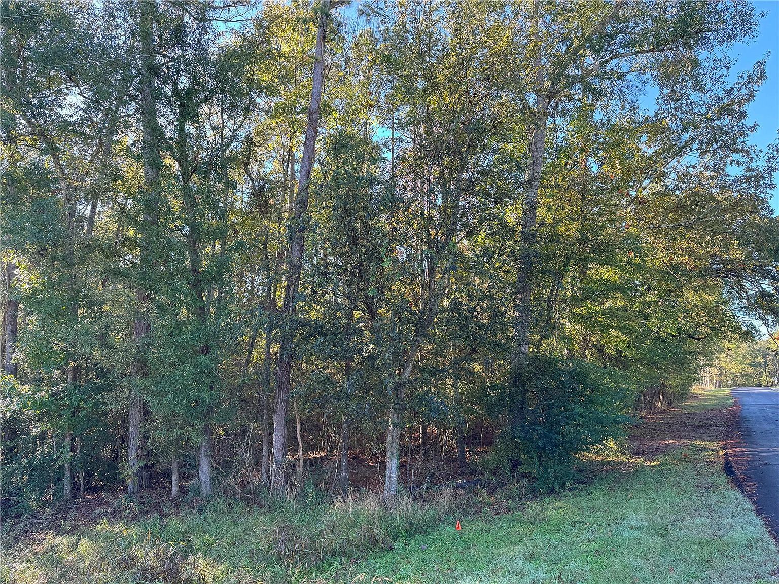 Everitt Ln Coldspring, TX 77331  | Land/Lot