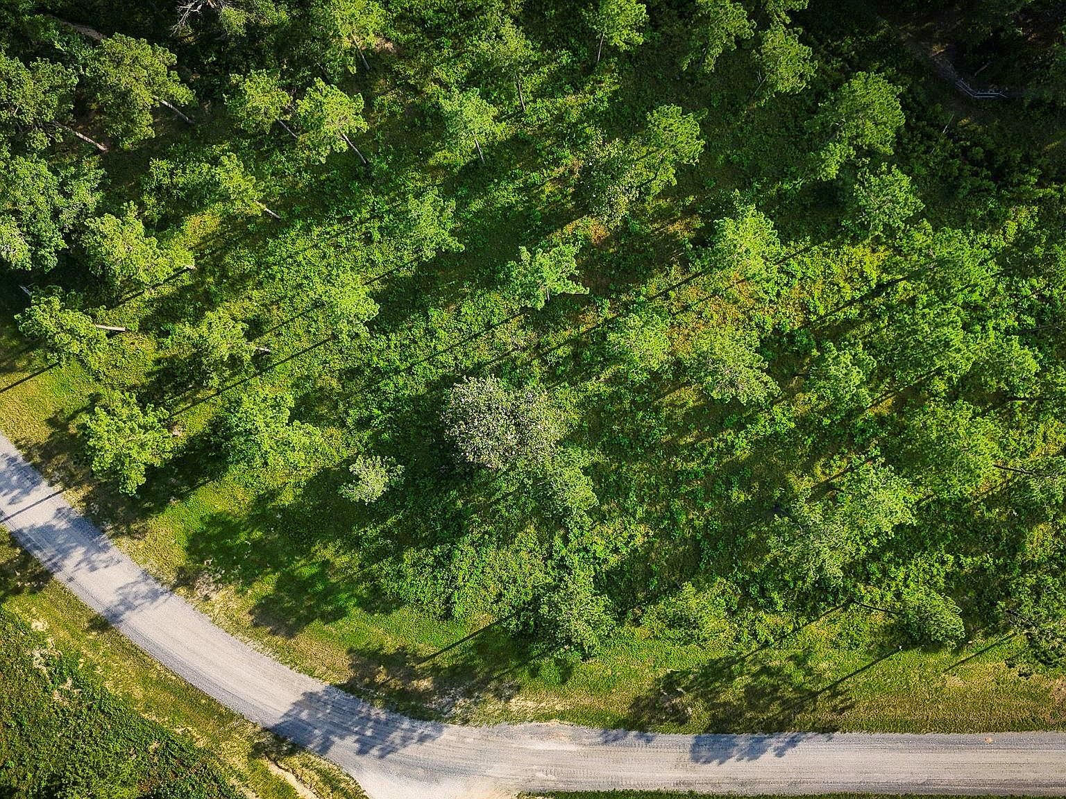 LOT 5 N Lake Dr Livingston, TX 77351 | Land/Lot