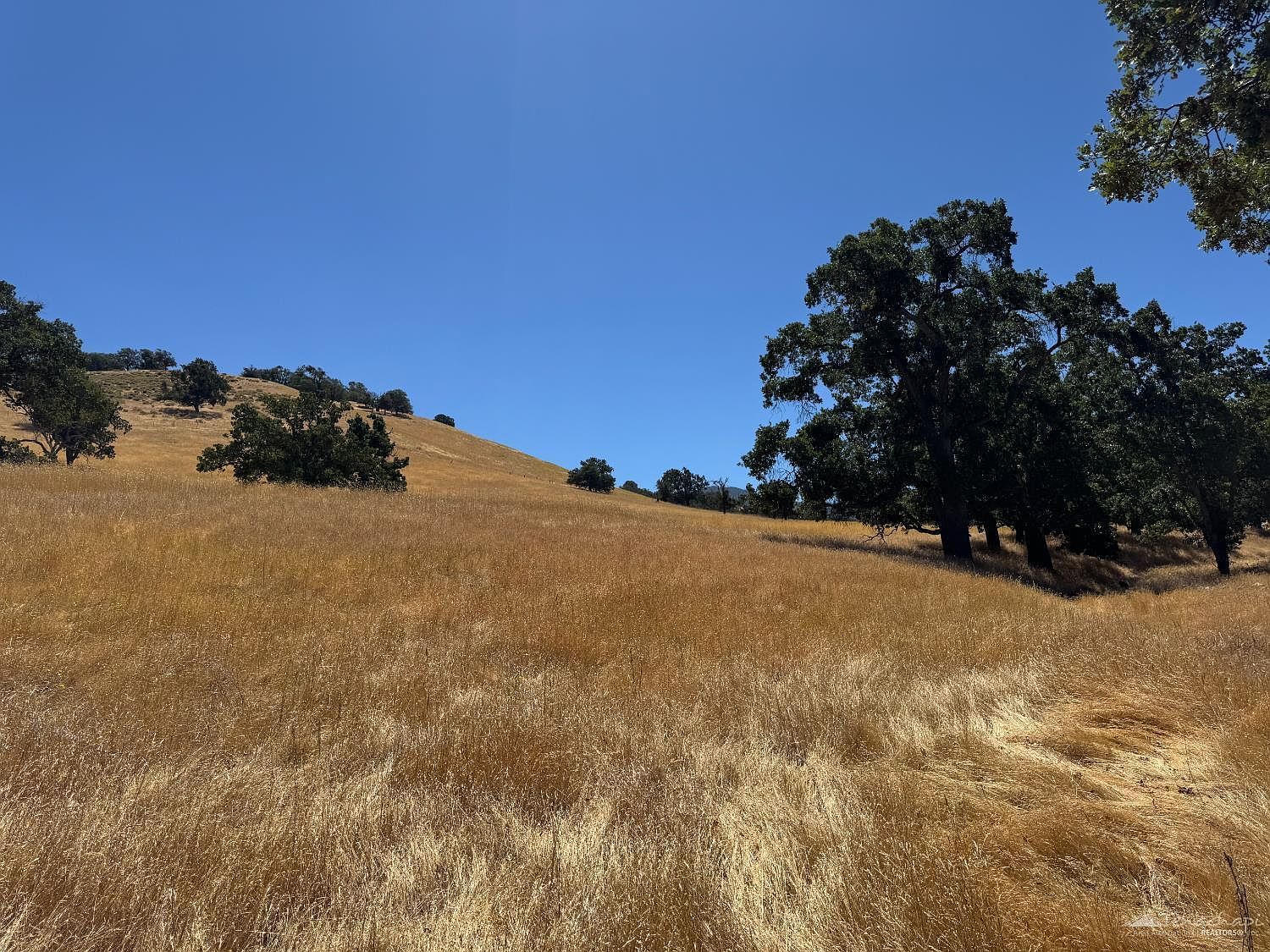0 Arosa Rd LOT 7 Tehachapi, CA 93561  | Land/Lot