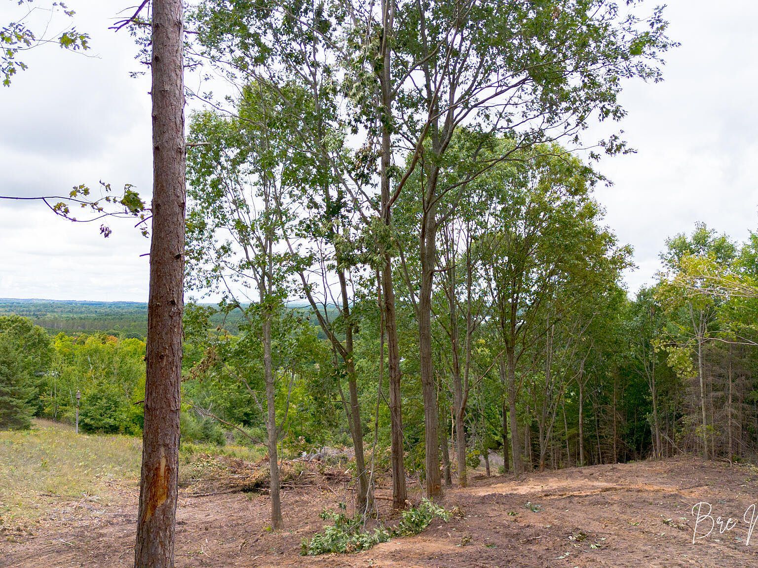 Spruce Ridge Rd #13 Bear Lake, MI 49614 | Land/Lot