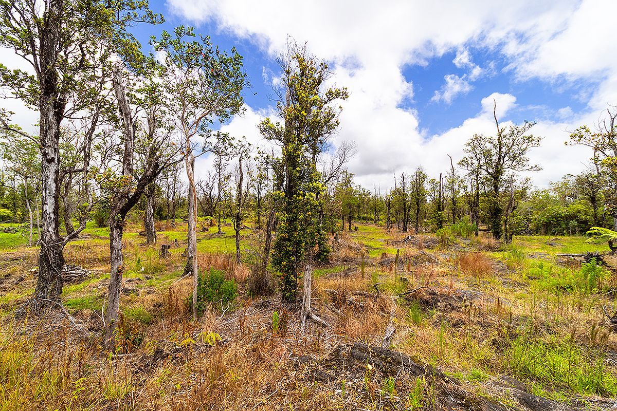 11-2026 Leila Rd Volcano, HI 96785 | Land/Lot