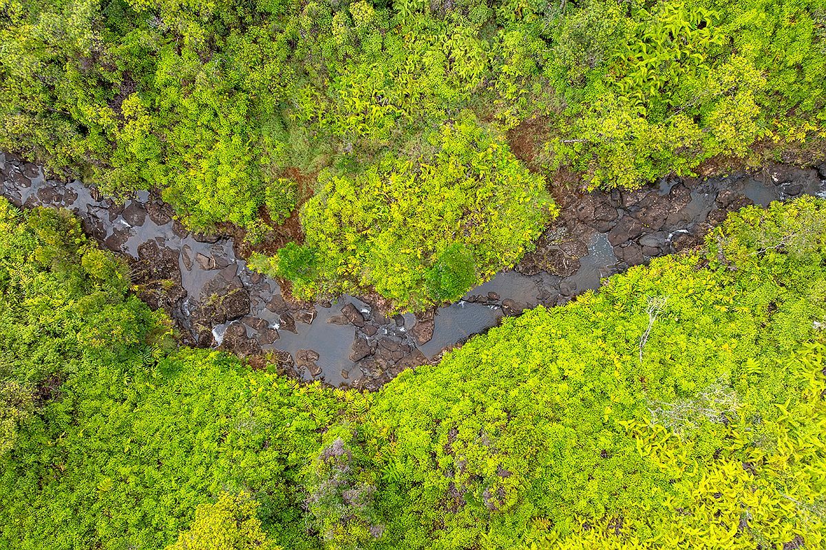 Kaiwiki Rd Lot 51 Hilo, HI 96720  | Land/Lot