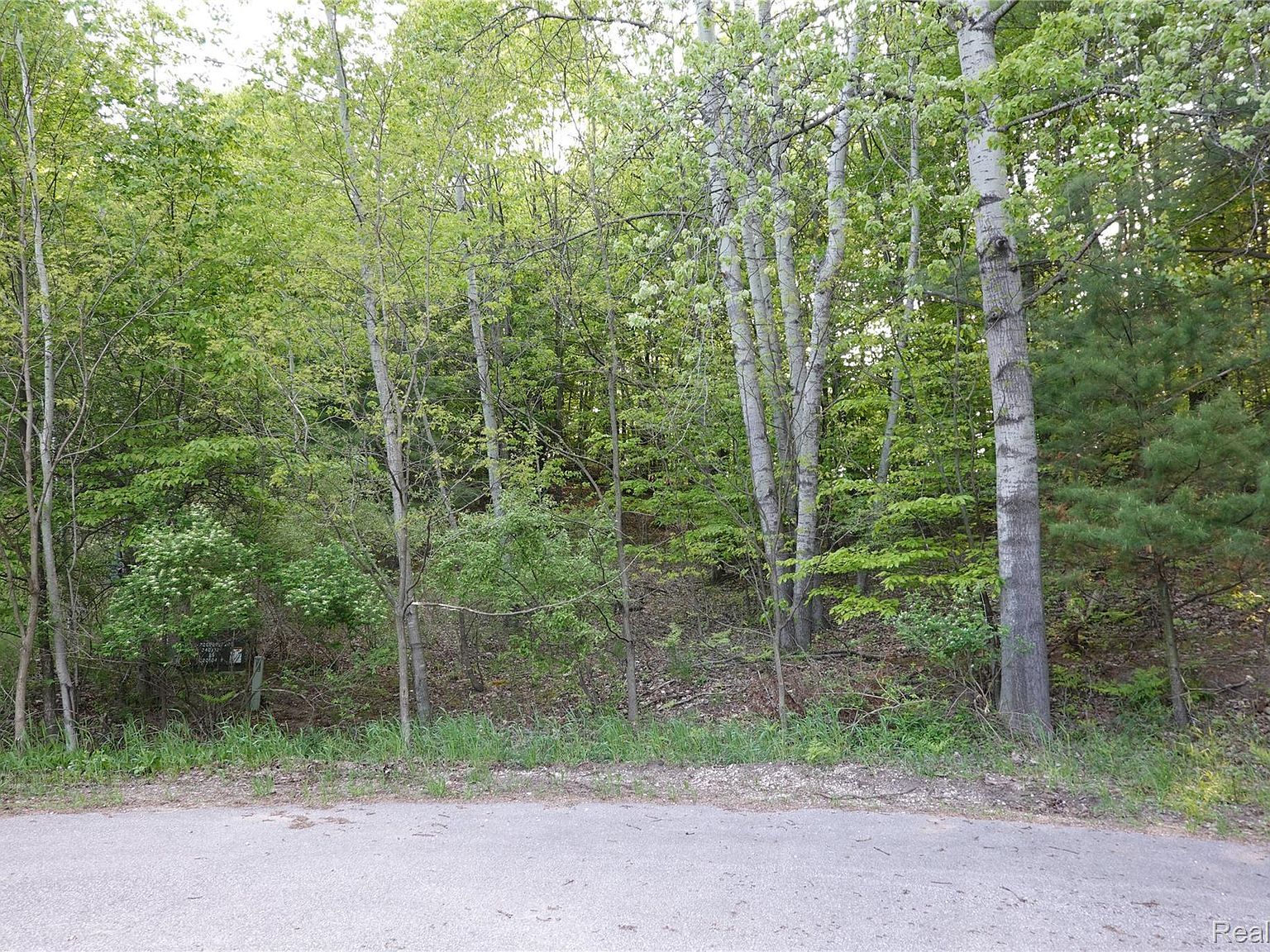 0 Buckridge Ct Rapid City, MI 49676  | Land/Lot