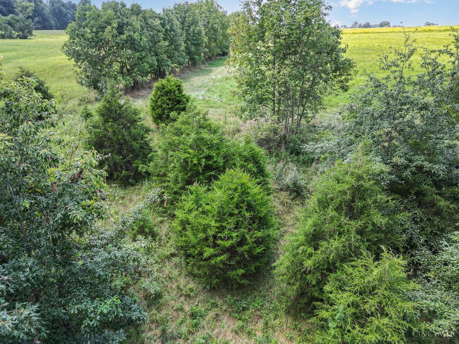 359 Buck Run Rd Seaman, OH 45679 | Land/Lot
