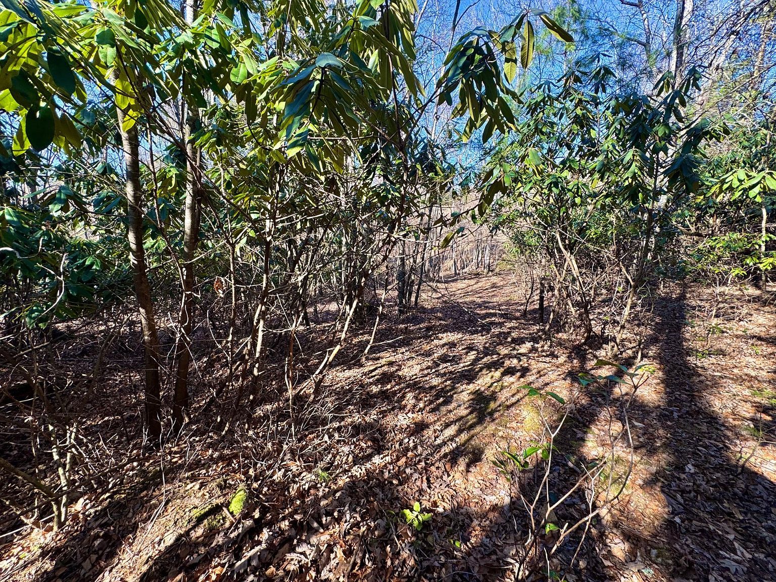 Graymont Ln Galax, VA 24333  | Land/Lot