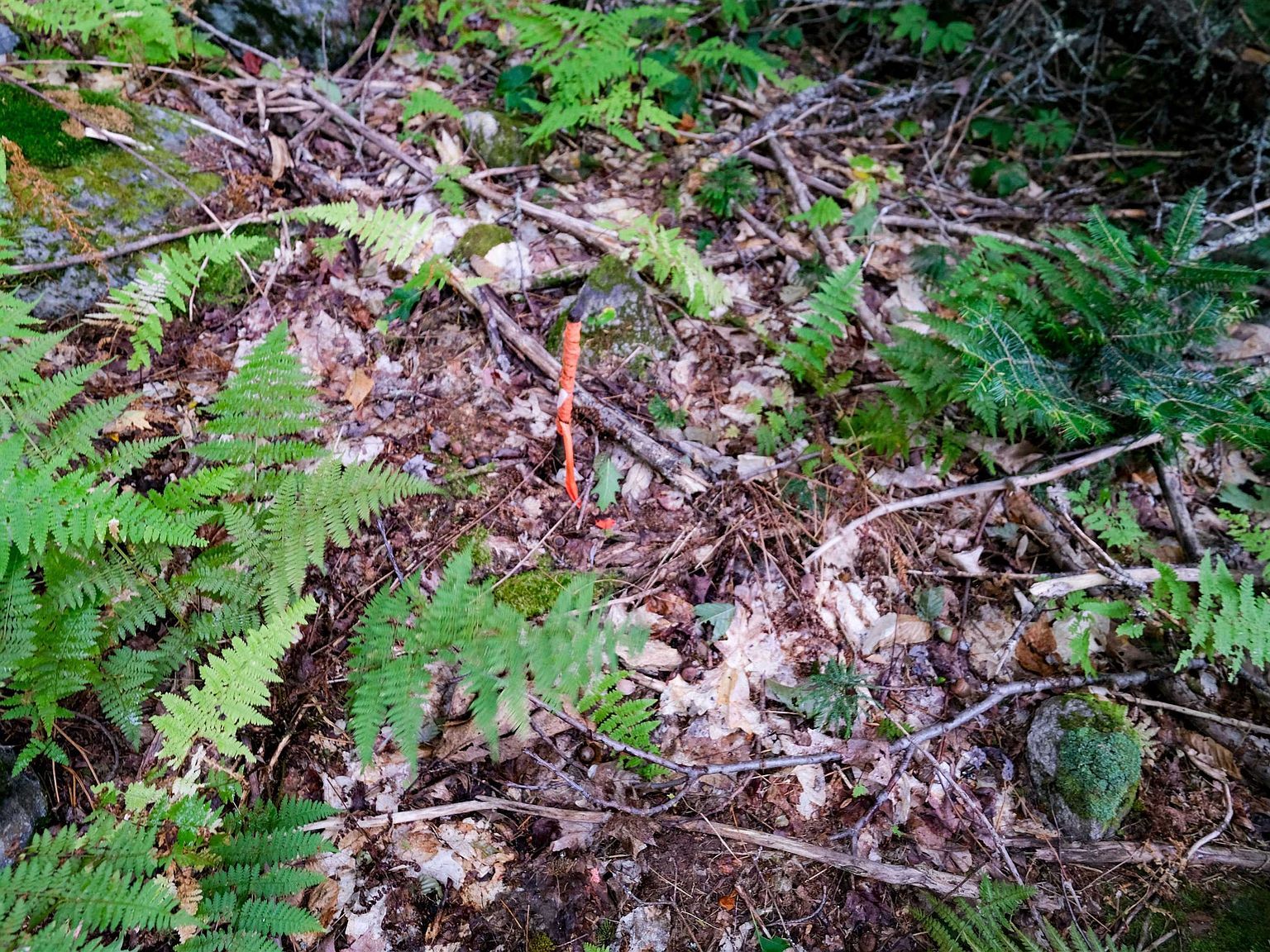 0 Evergreen Acres Ludlow, VT 05149  | Land/Lot