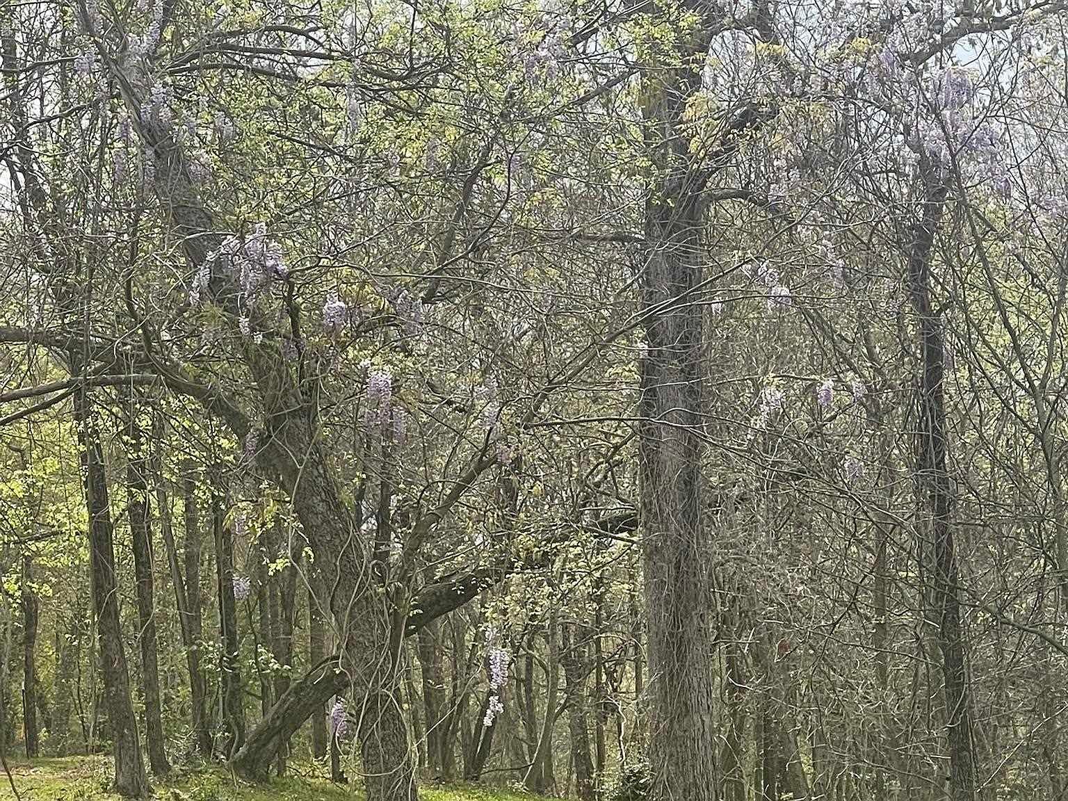 Mockingbird Inverness Longview, TX 75601 | Land/Lot