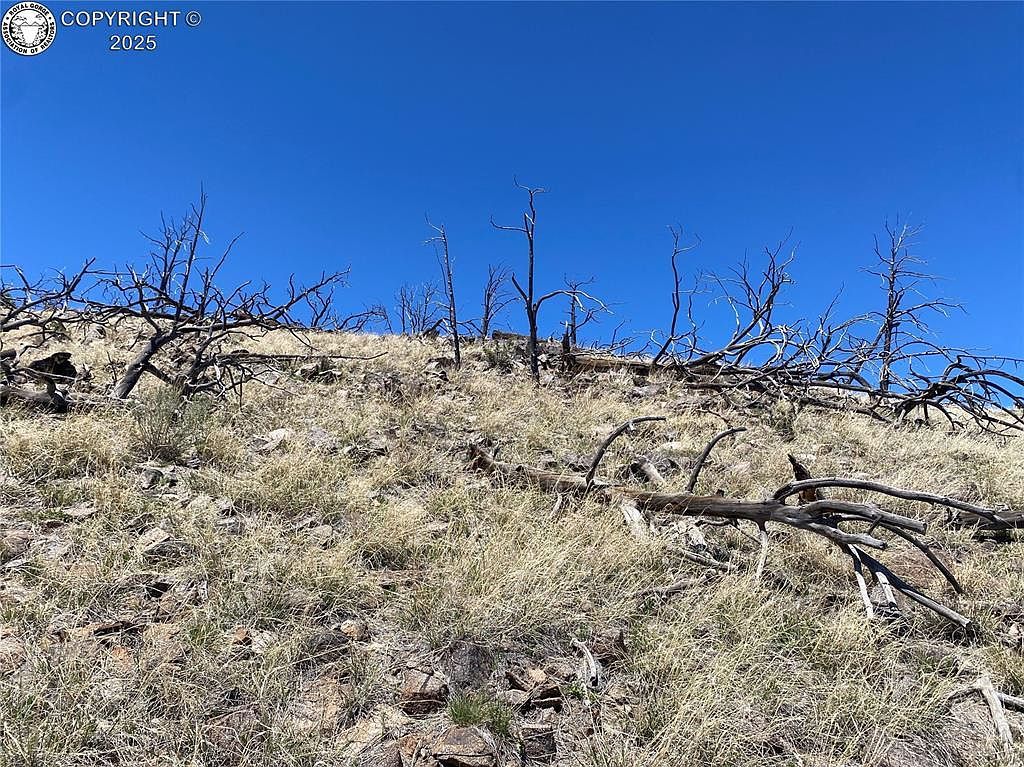 25th Trl Cotopaxi, CO 81223  | Land/Lot