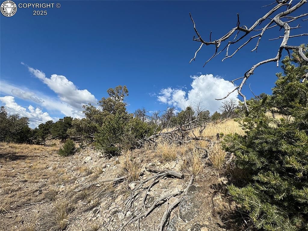 27th Trl Cotopaxi, CO 81223  | Land/Lot