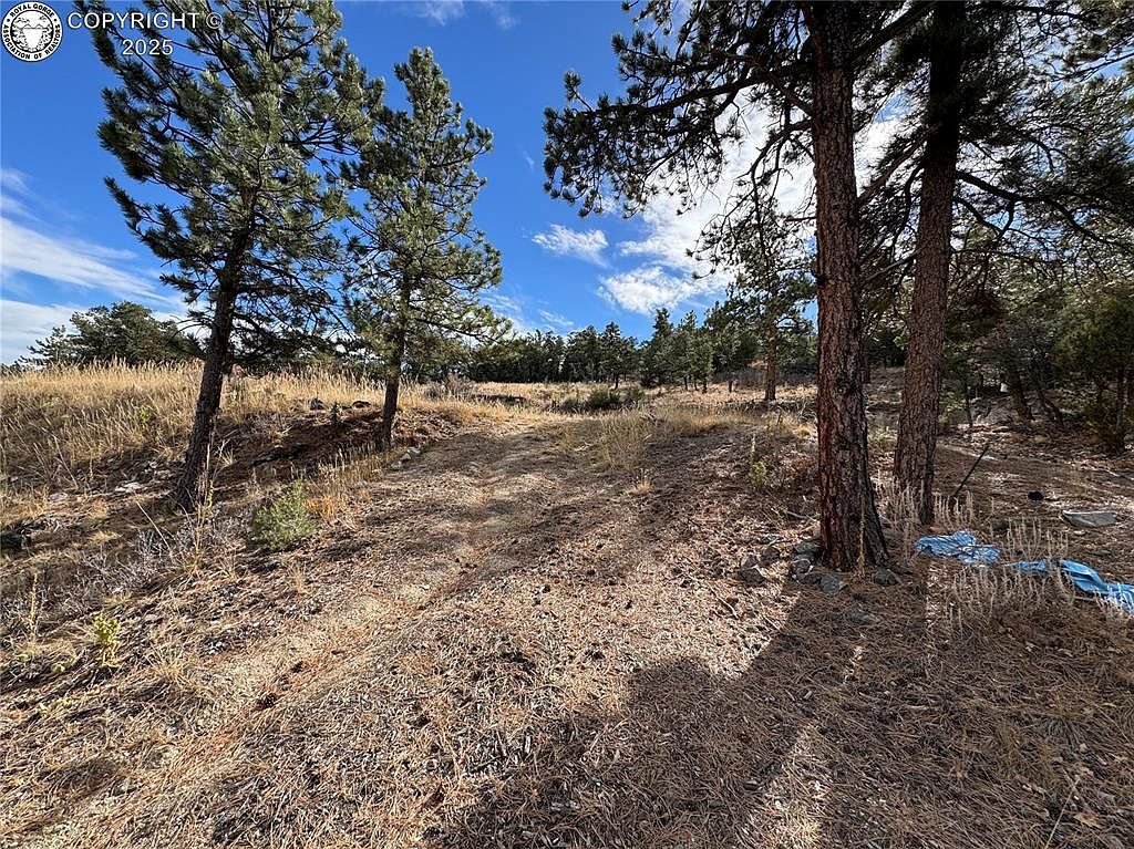 2926 E Path Cotopaxi, CO 81223 | Land/Lot