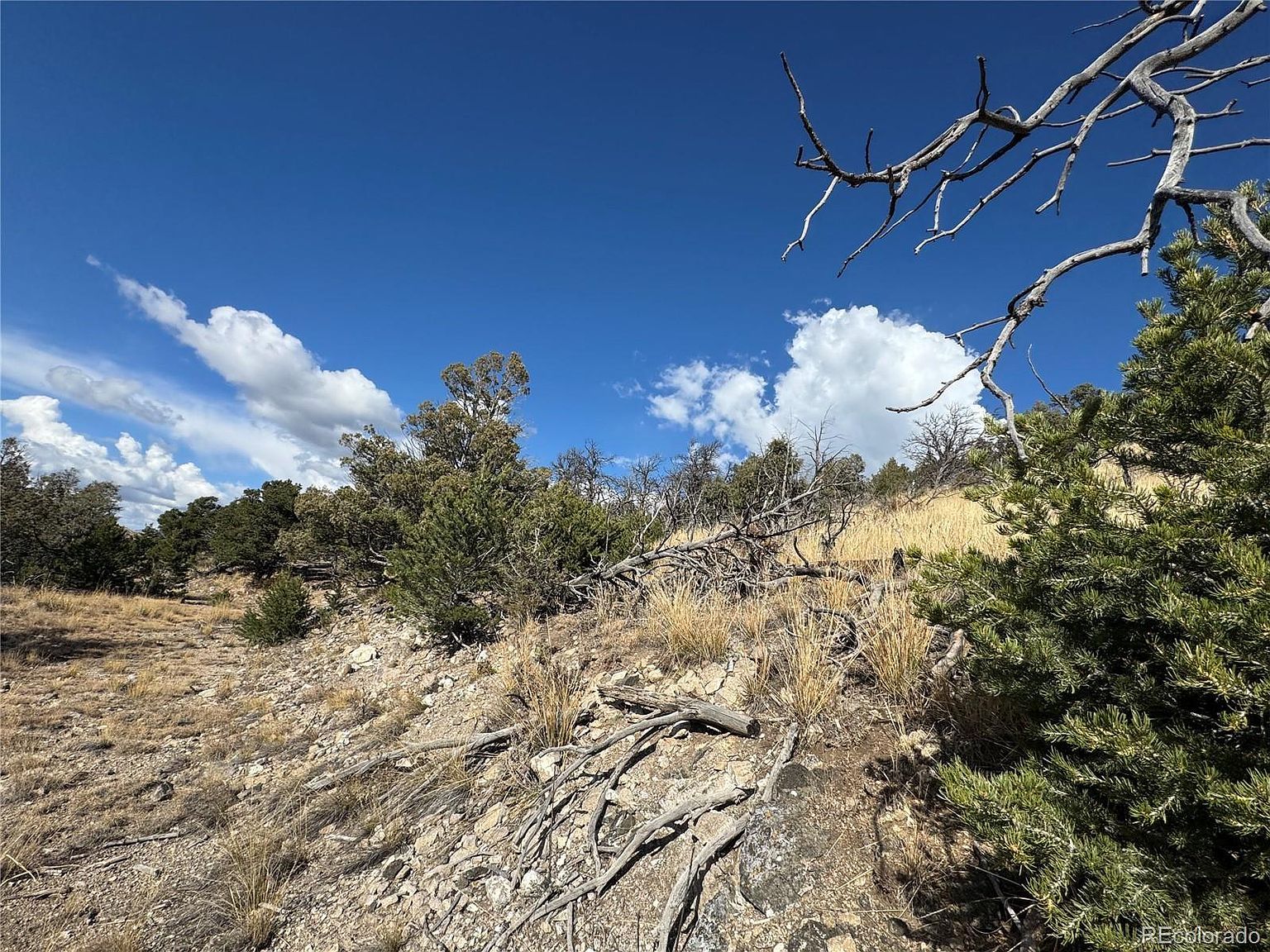 0 27th Trl Cotopaxi, CO 81223 | Land/Lot