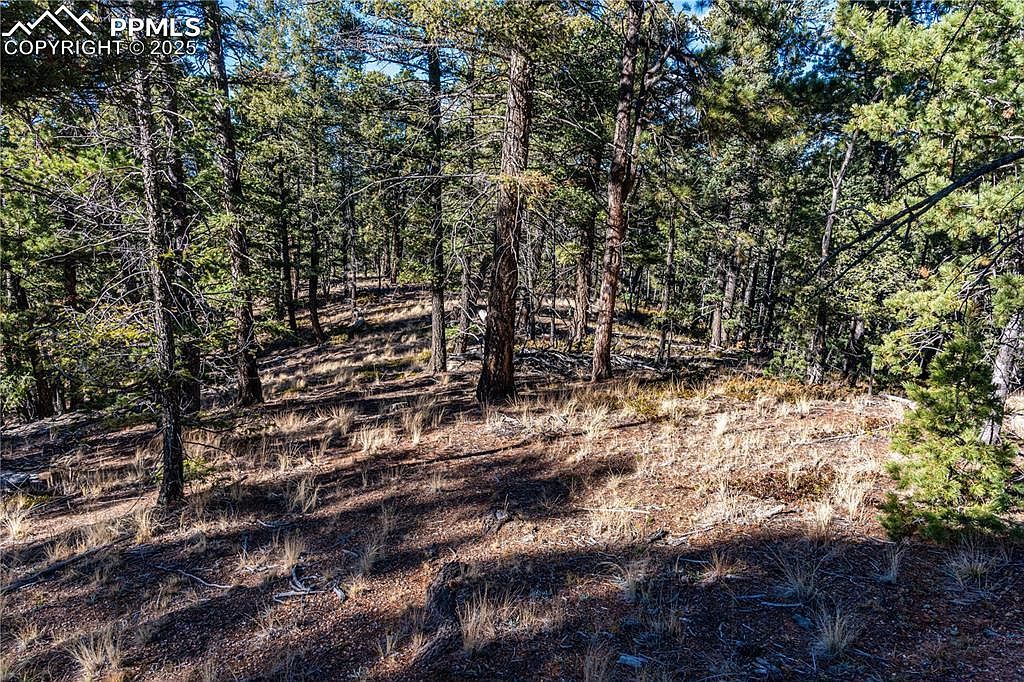 Tbd Arrowhead Rd Florissant, CO 80816  | Land/Lot