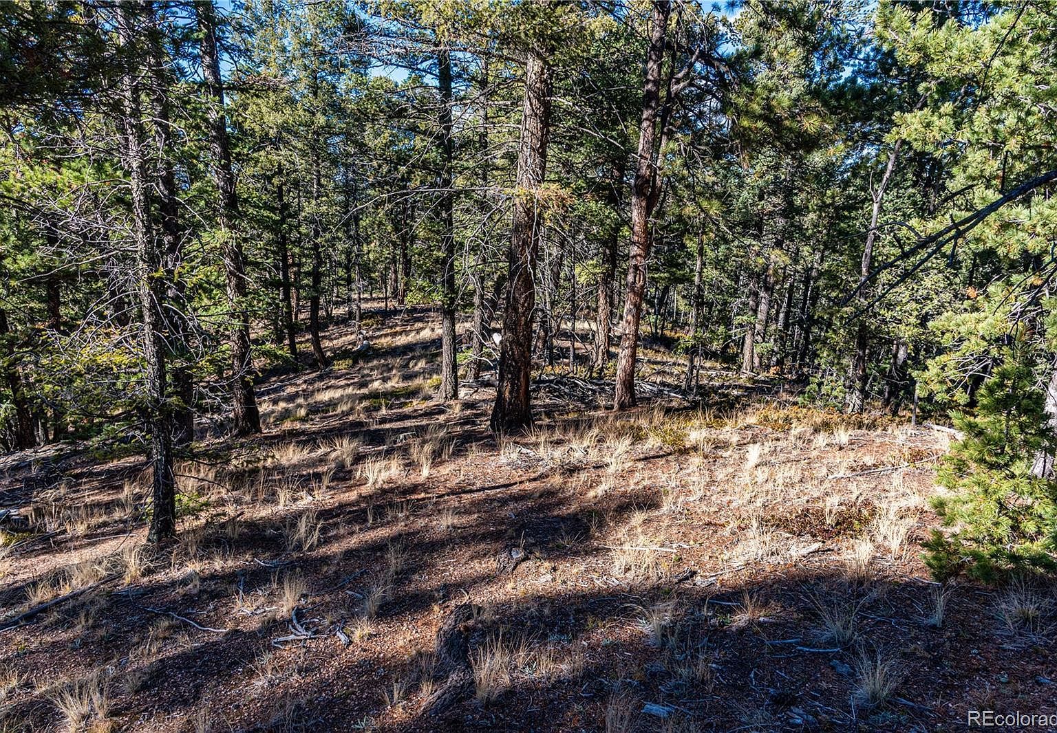 0 Arrowhead Rd Florissant, CO 80816 | Land/Lot