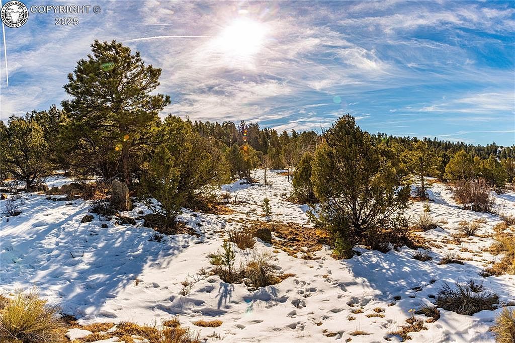 740 Dilley Rd Westcliffe, CO 81252  | Land/Lot