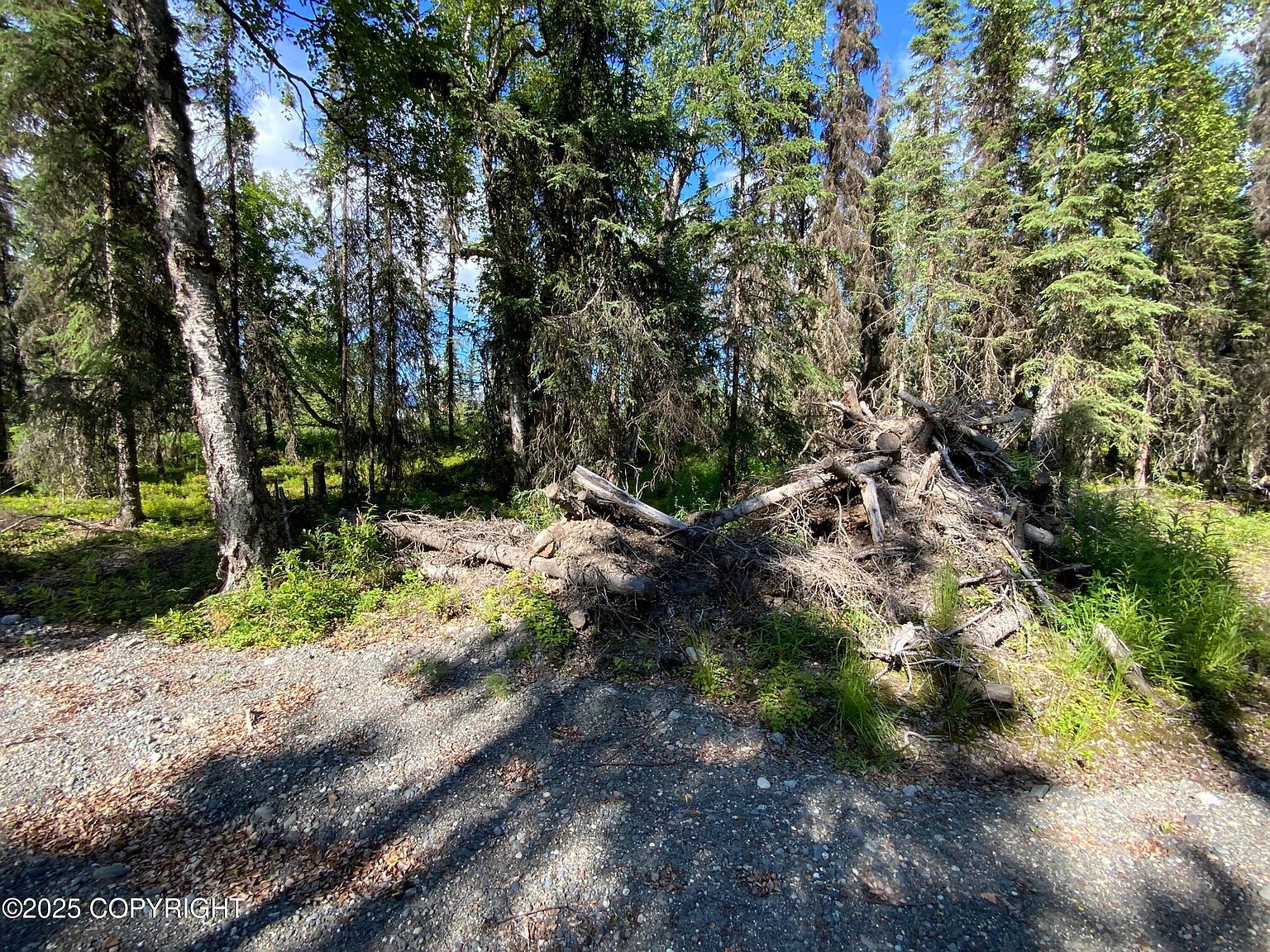 731 Riggs Ave Soldotna, AK 99669  | Land/Lot