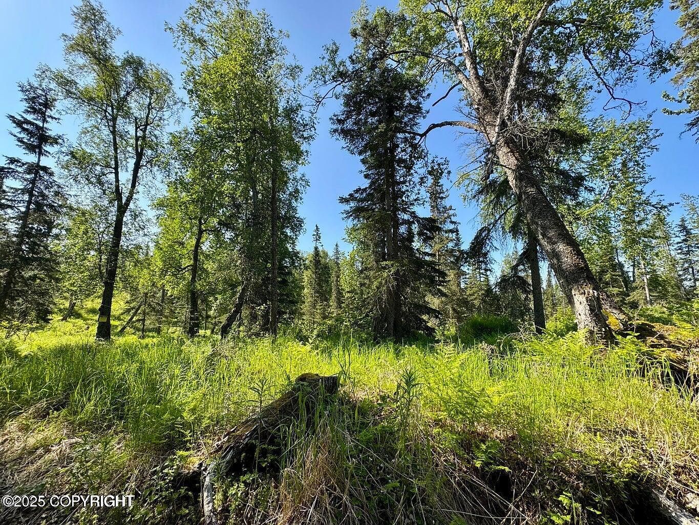 53843 Glory Ave Kenai, AK 99611  | Land/Lot