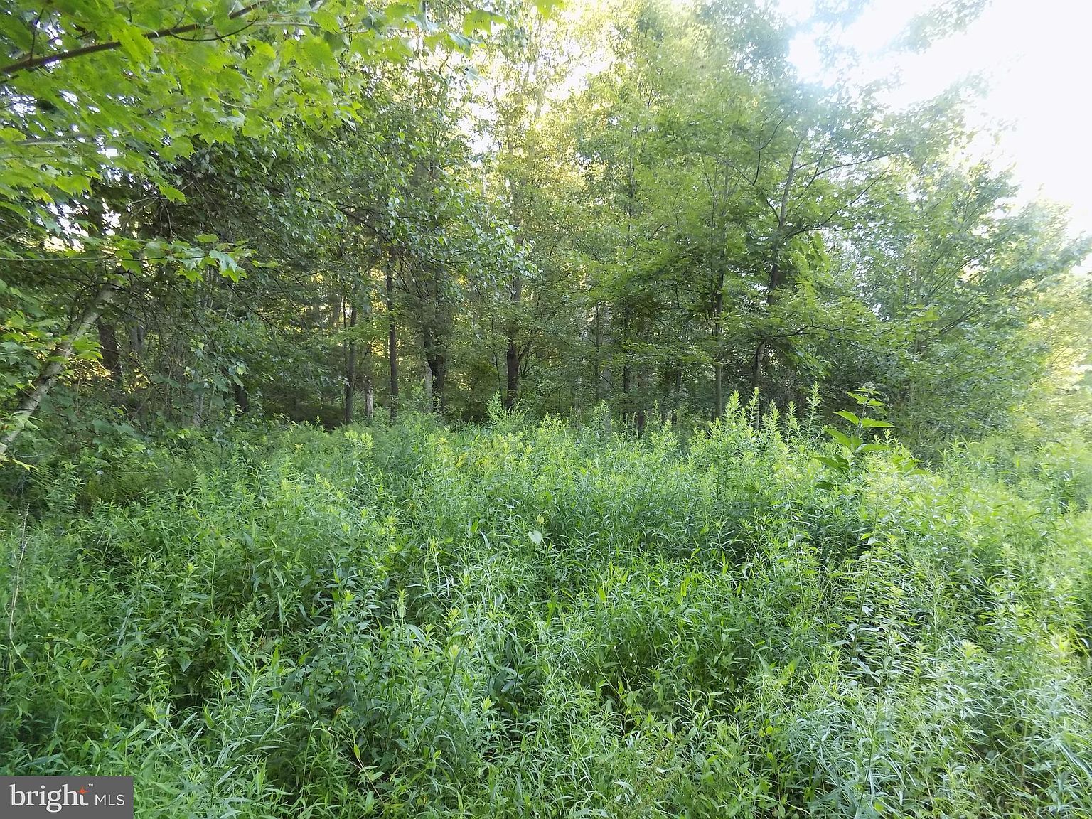 0 Green St Tremont, PA 17981  | Land/Lot