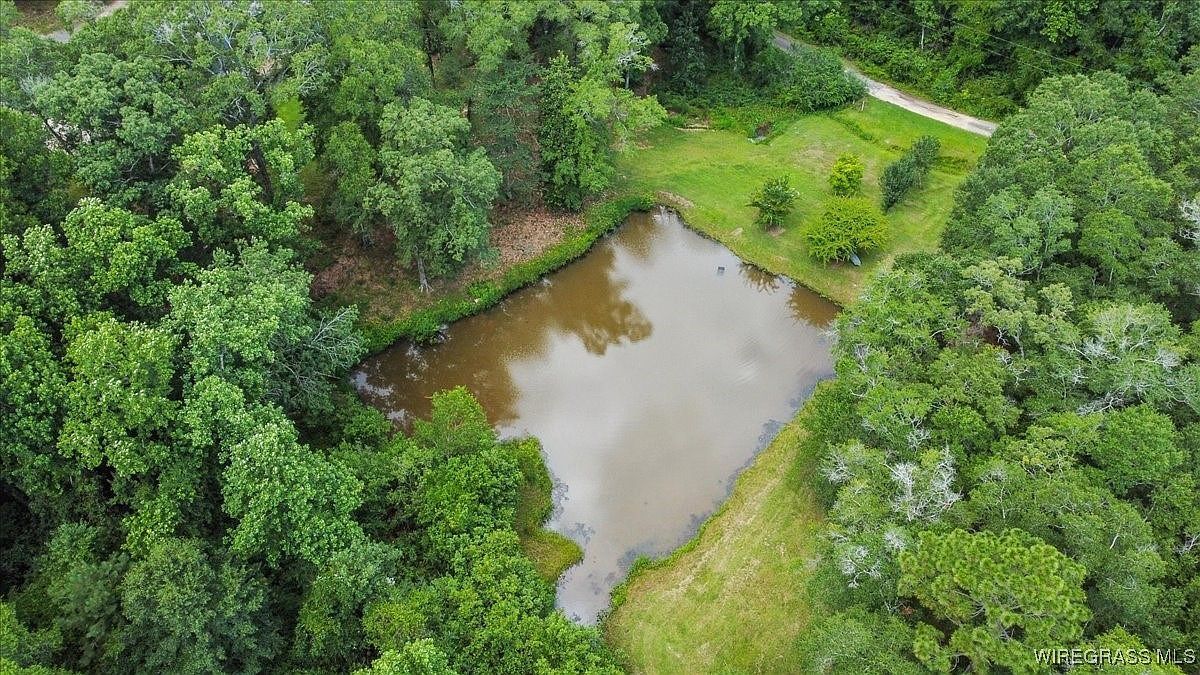 317 Holmes Rd Newton, AL 36352  | Single Family