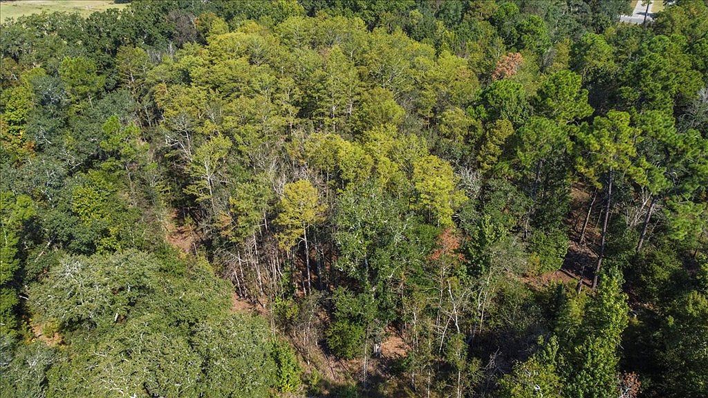 0 Cottonwood Rd Cottonwood, AL 36320  | Land/Lot