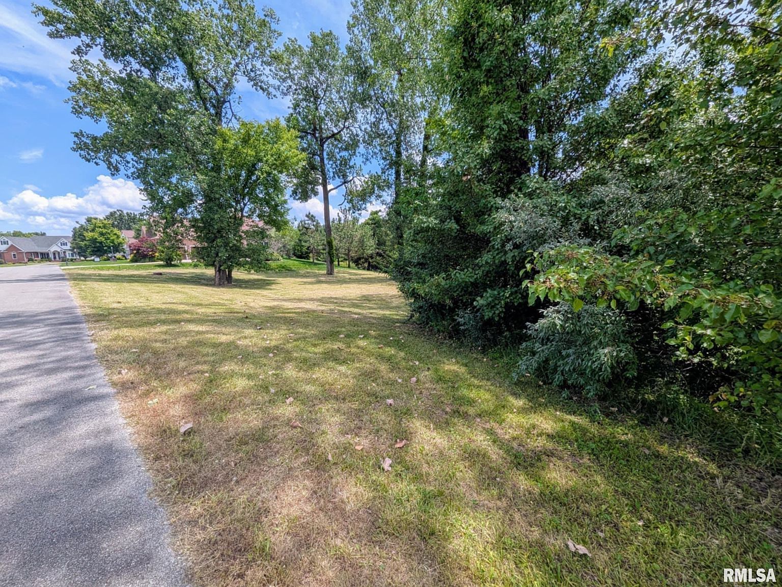69 David Livingstone Dr Carterville, IL 62918 | Land/Lot