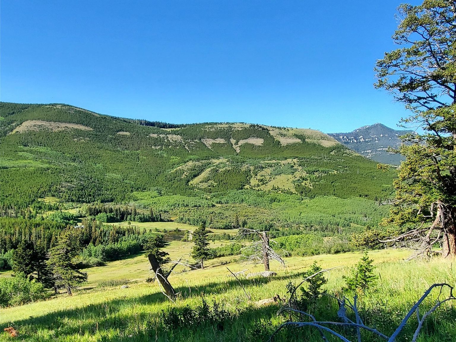 3384 Joslin Creek Rd #59410 Augusta, MT 59410  | Land/Lot