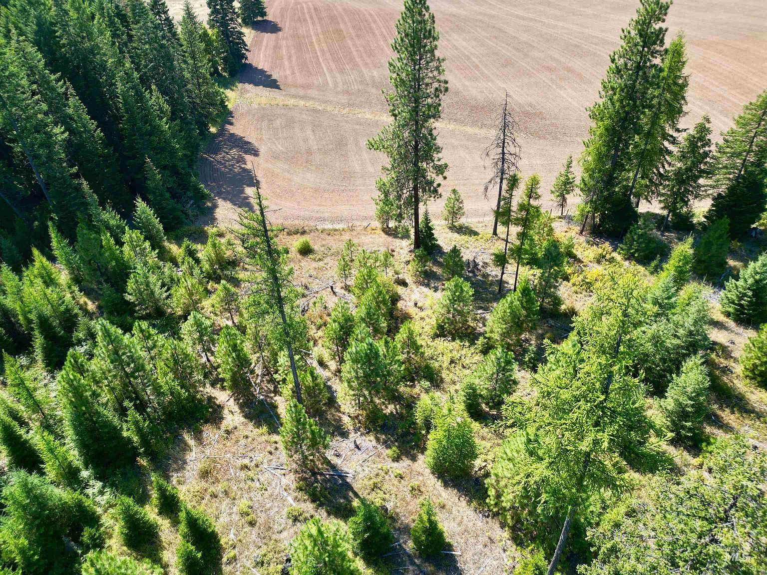 PARCEL 1 Peaceful Valley Rd Kamiah, ID 83536  | Land/Lot