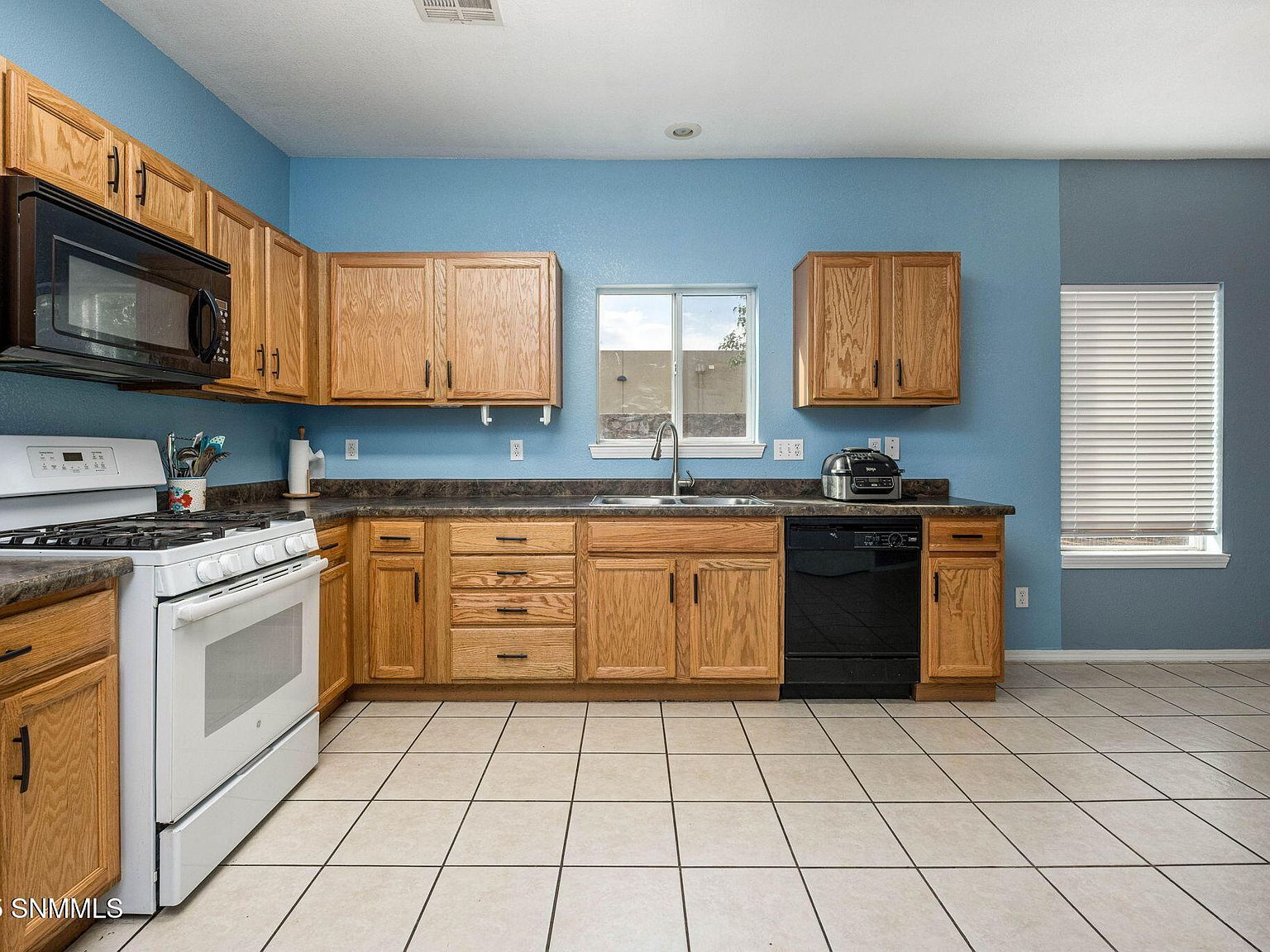 5539 Patagonia Dr Las Cruces, NM 88011  | Single Family