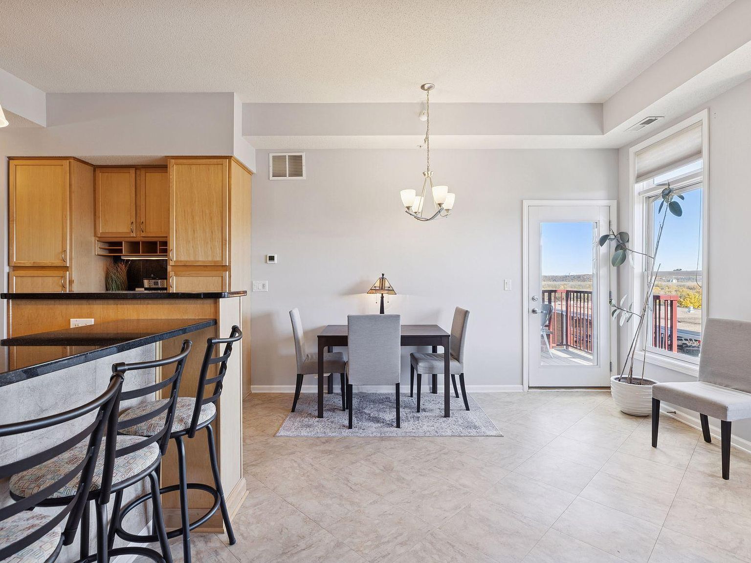 100 4th Ave N UNIT 308 South Saint Paul, MN 55075 | Condominium