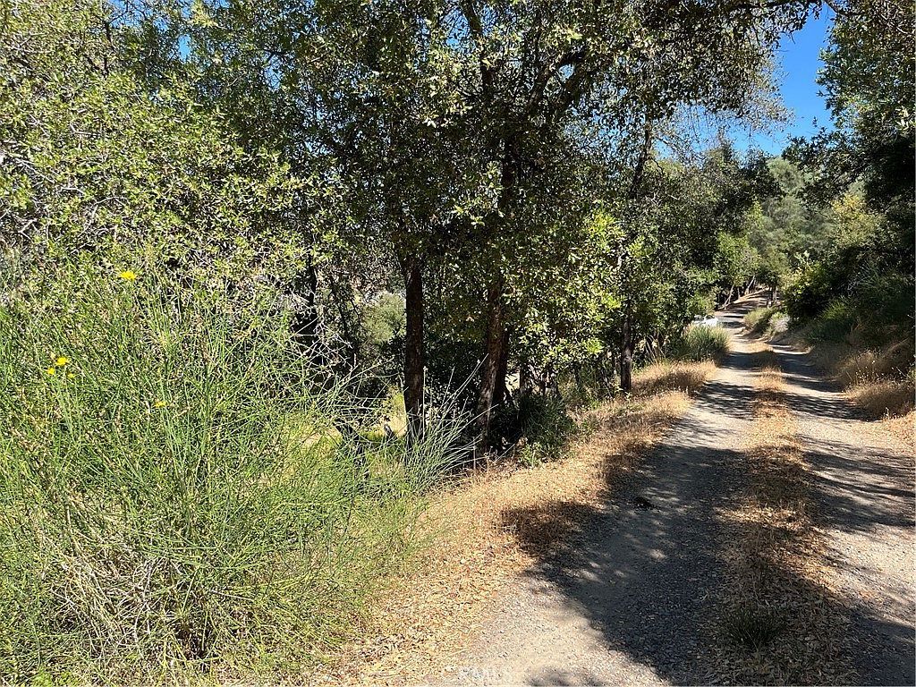 10009 Point Lakeview Rd #1, Kelseyville, CA, 95451 | Land/Lot