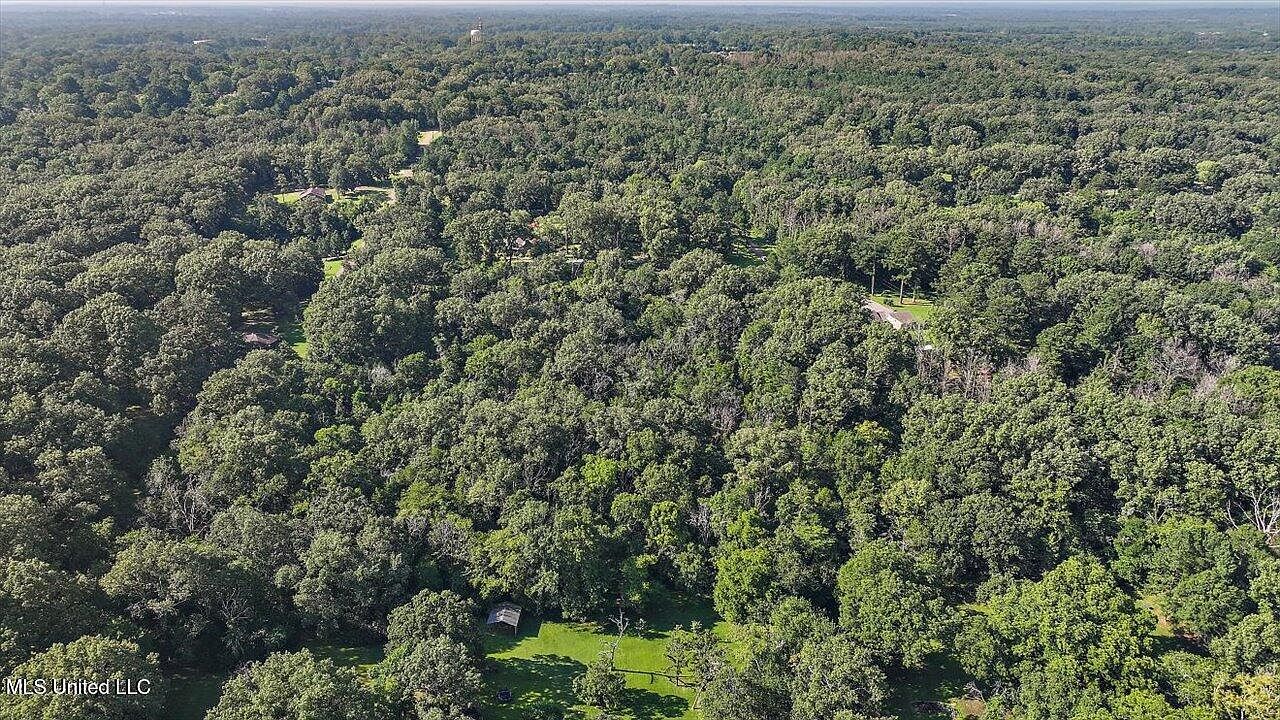 Castlewood Dr Clinton, MS 39056  | Land/Lot