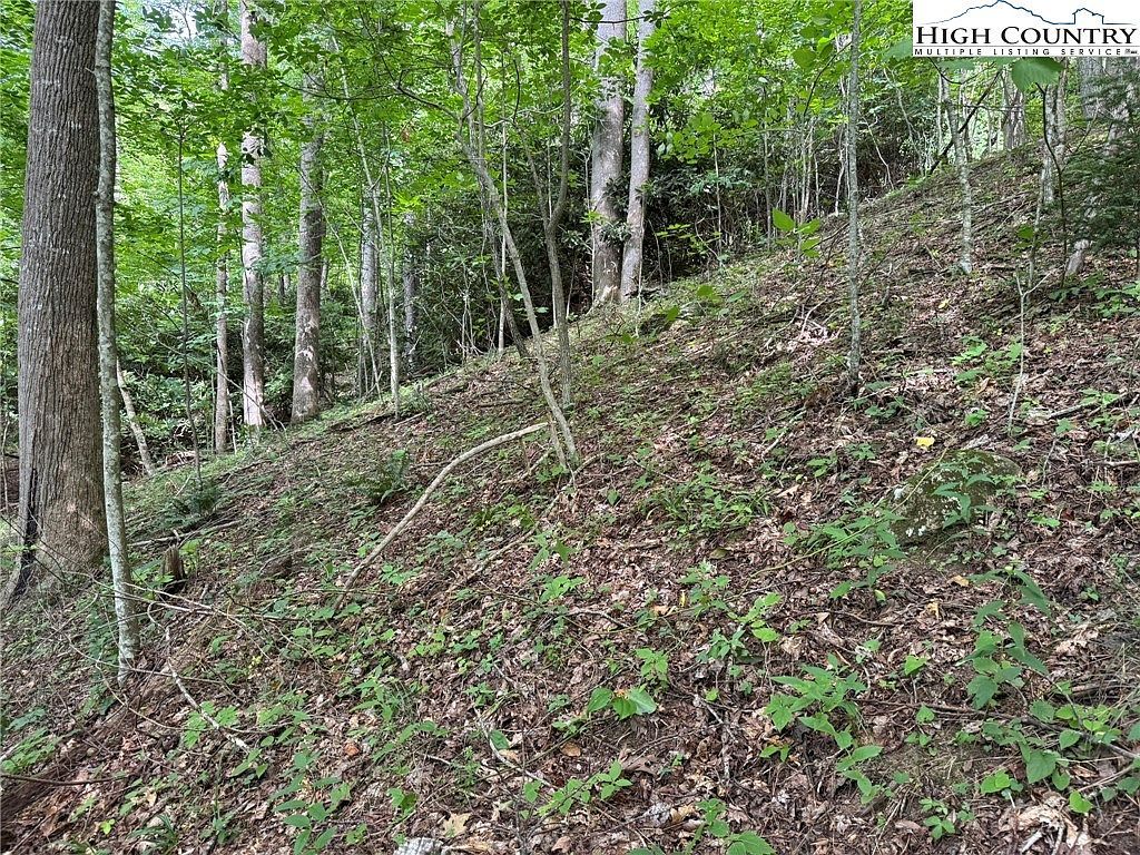 Boulder Gardens Rd Banner Elk, NC 28604  | Land/Lot