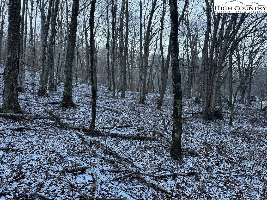 Woodland Springs Ln Boone, NC 28607  | Land/Lot