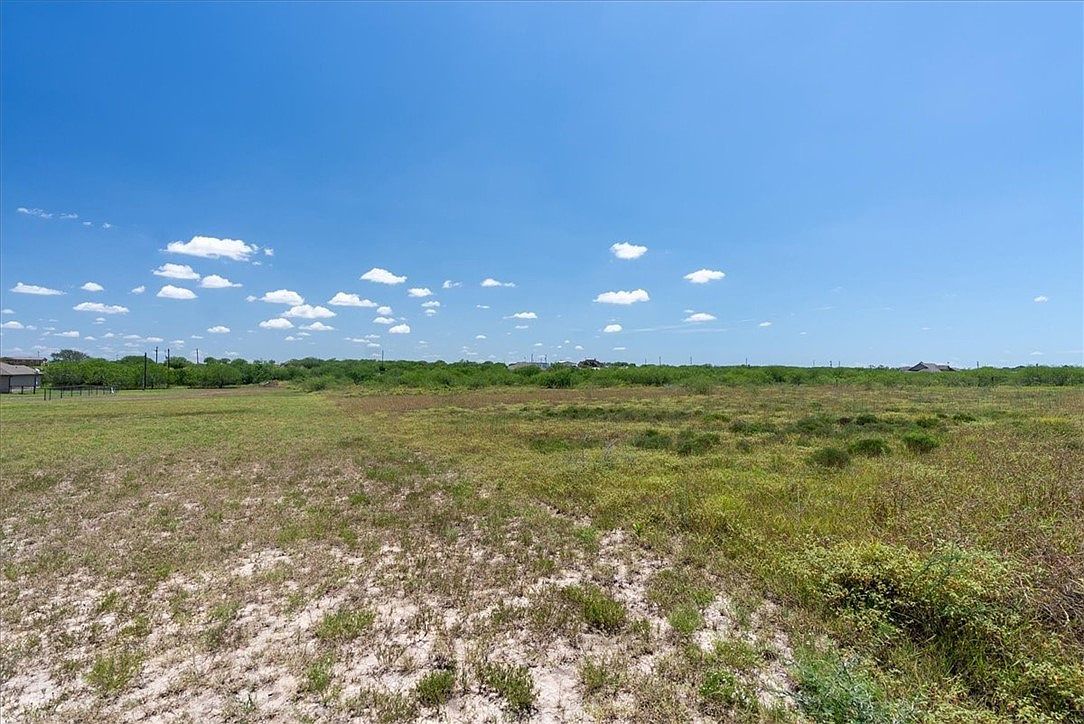 253 County Road 222 Orange Grove, TX 78372 | Land/Lot