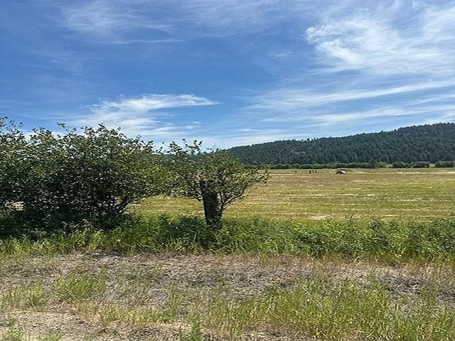 46XX Springdale Hunters Rd Springdale, WA 99173  | Land/Lot