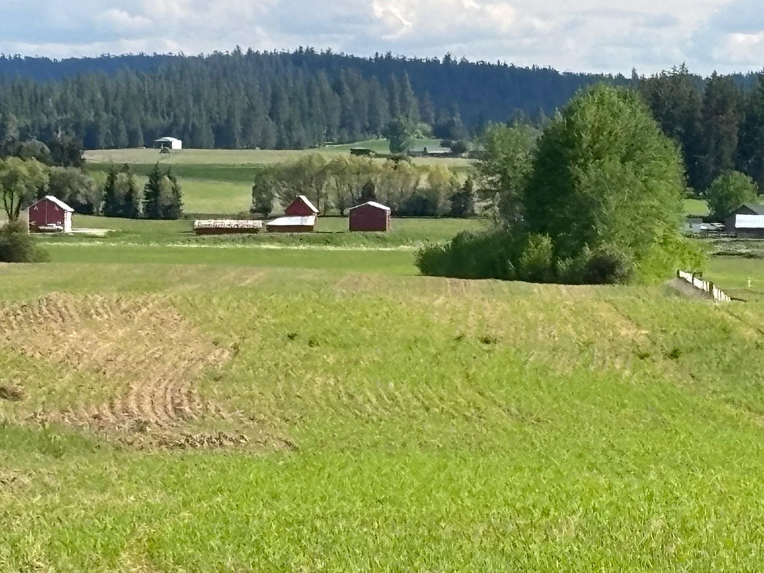 46XX Bittrich Antler Rd Deer Park, WA 99006 | Land/Lot