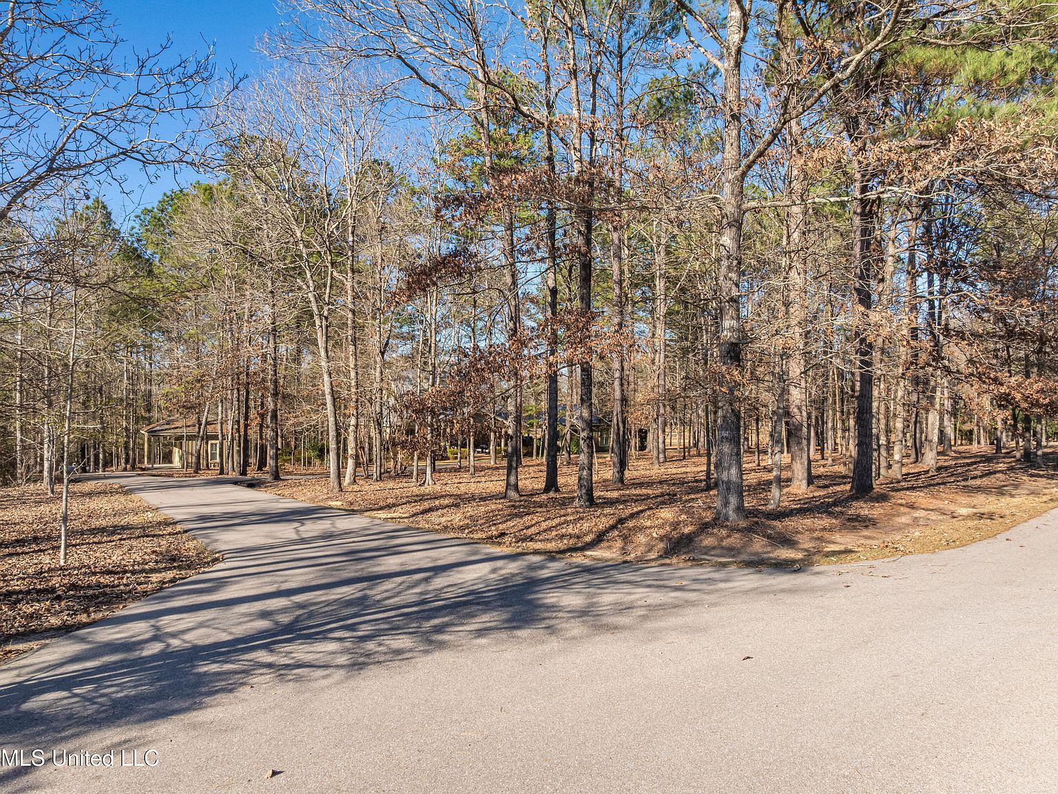35 Boggy Hollow Rd Purvis, MS 39475 | Single Family