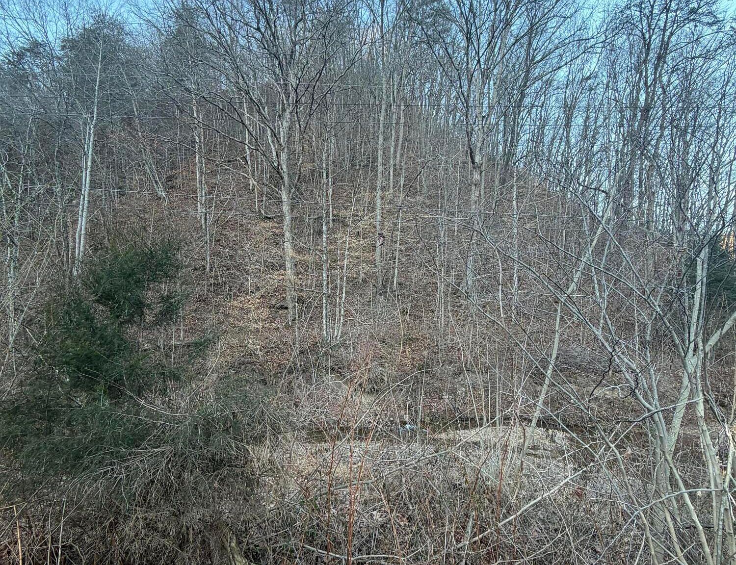 Highway 25e Bean Station, TN 37708  | Land/Lot