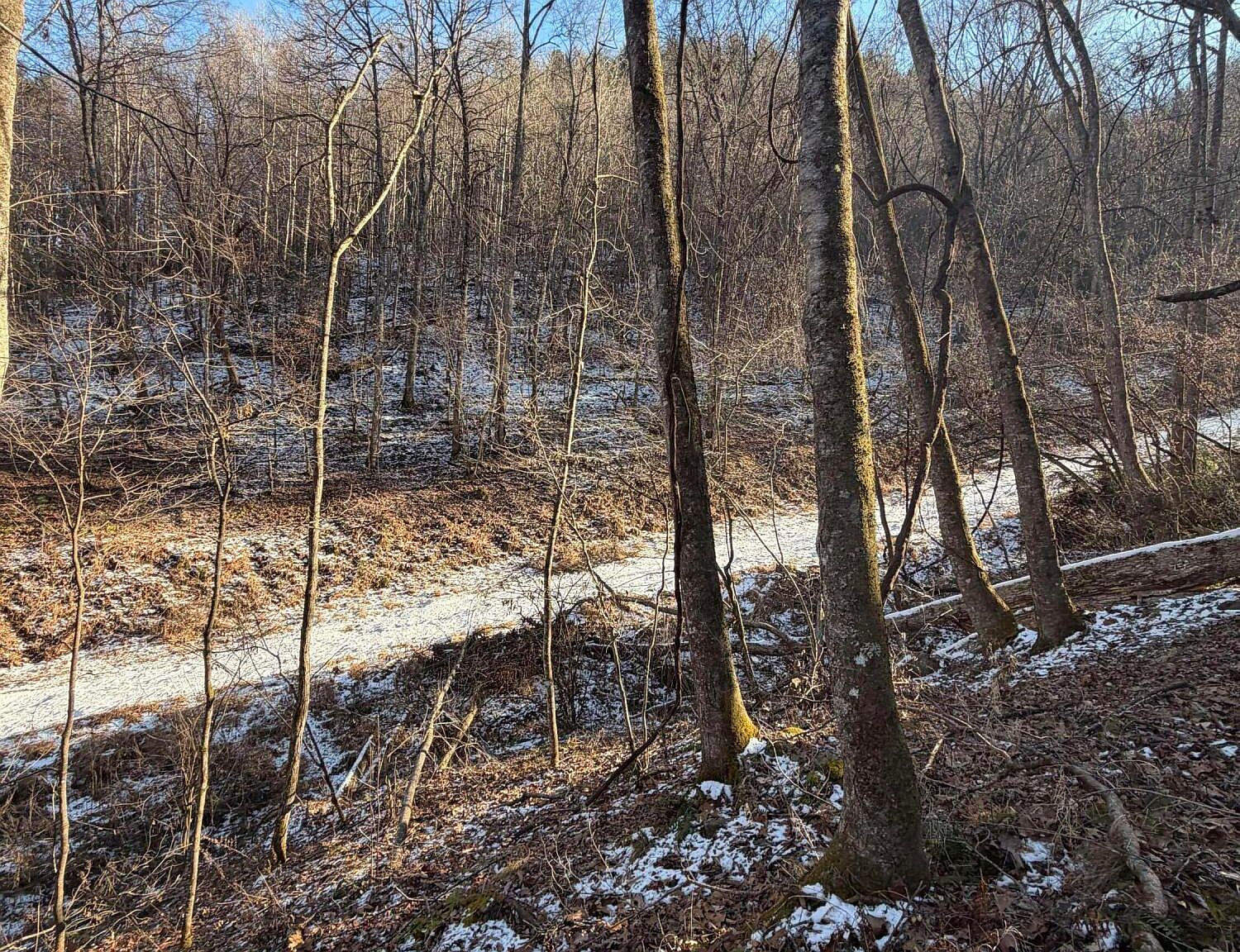 Williams Ln Butler, TN 37640  | Land/Lot