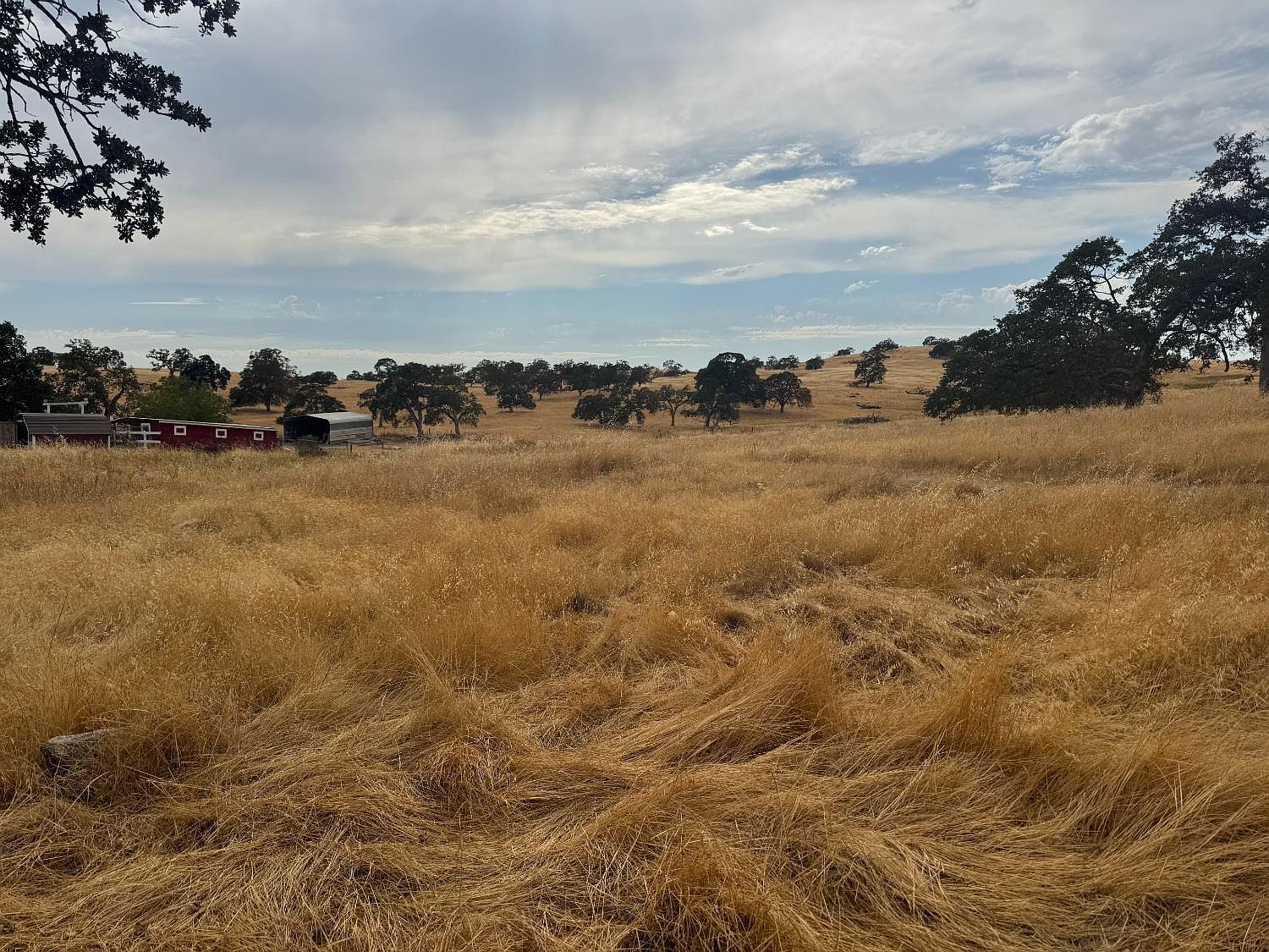 10423 Jalapa Way La Grange, CA 95329 | Land/Lot