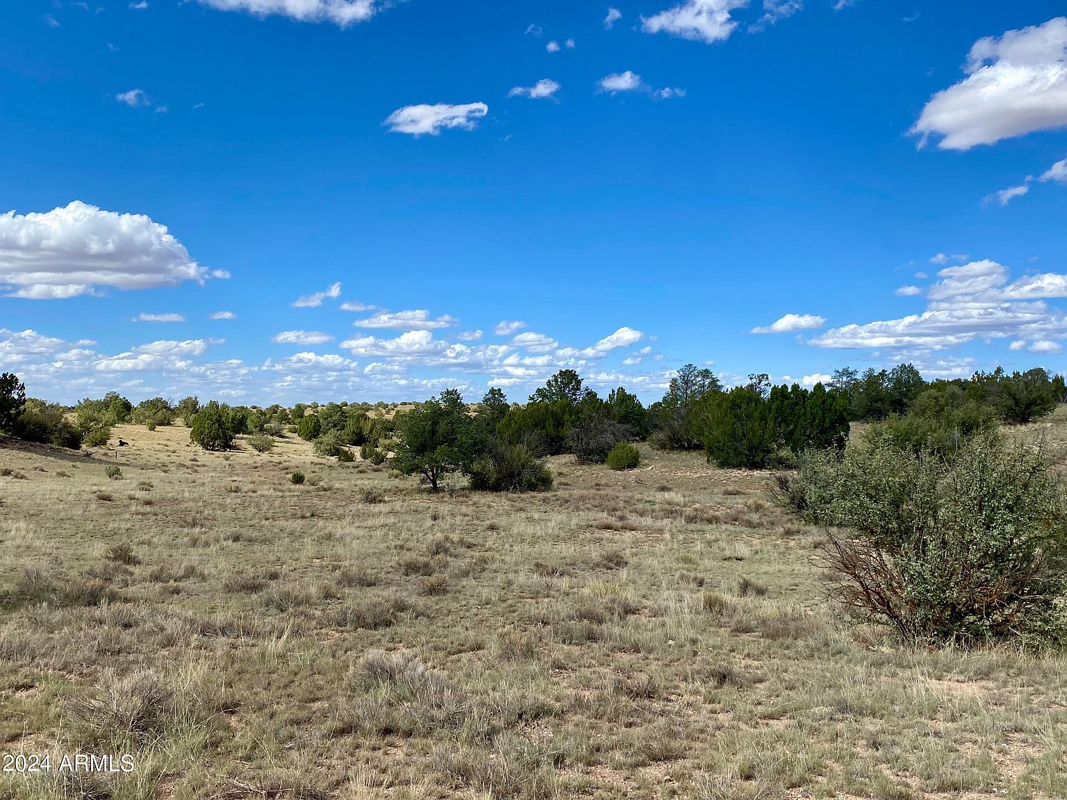 5733 W Clove Hitch Rd #356 Williams, AZ 86046 | Land/Lot