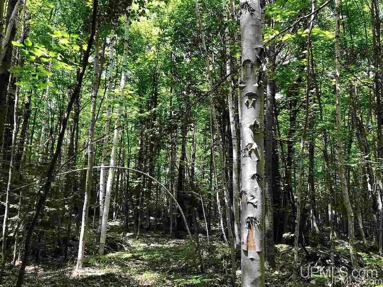 0 N Maplewood Rd Gwinn, MI 49841  | Land/Lot