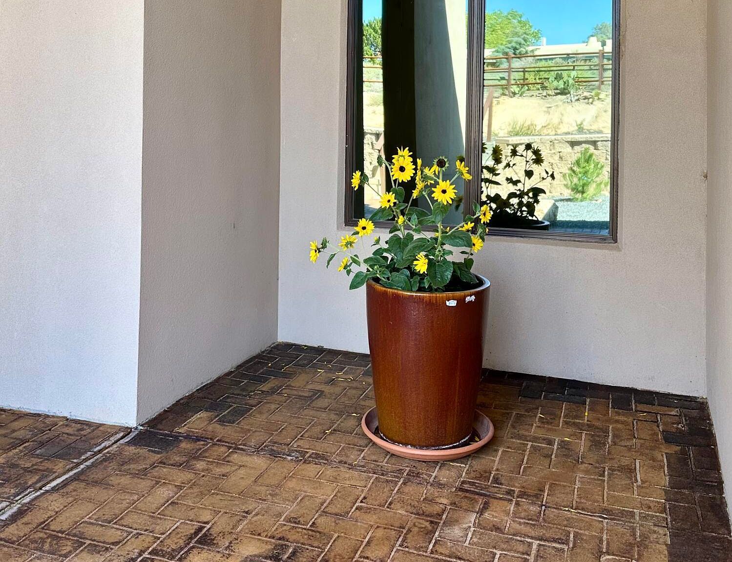 30 Vereda De Chapparal Corrales, NM 87048  | Single Family