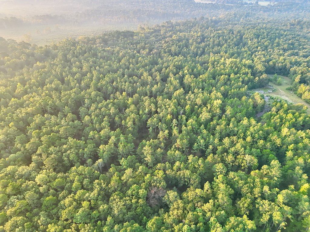 0 An County Rd #104 Elkhart, TX 75839 | Land/Lot