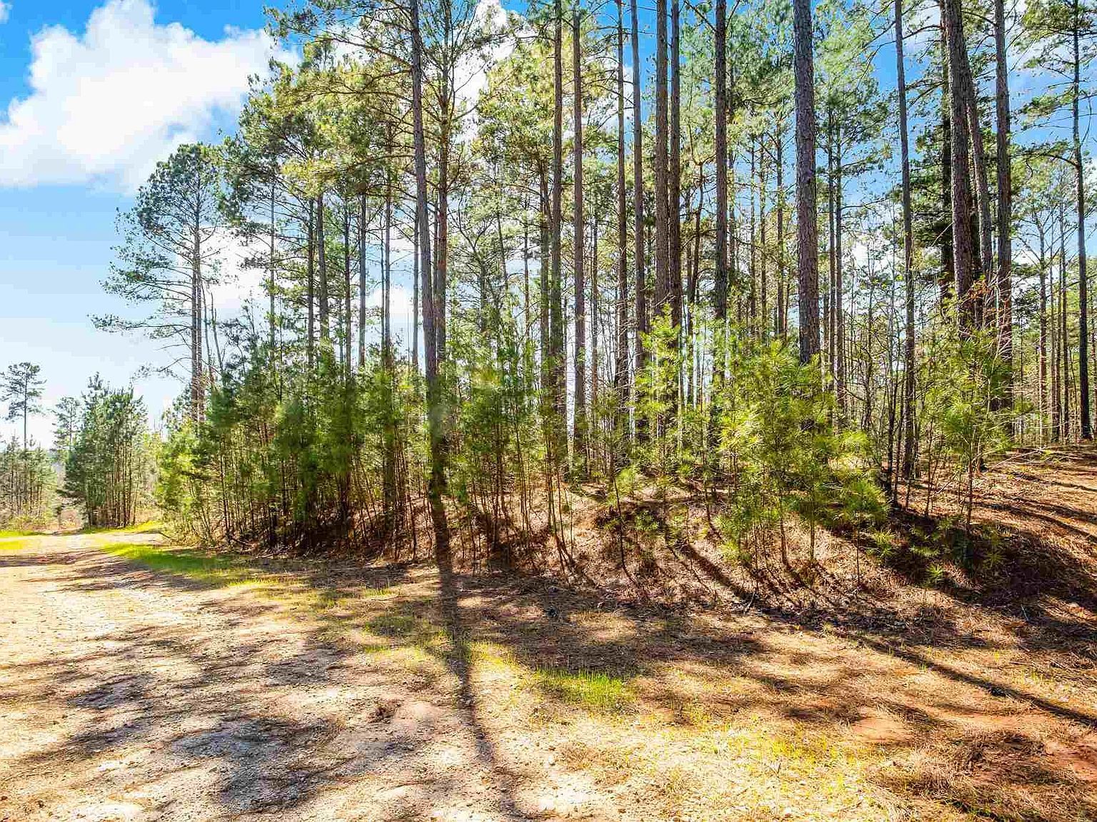 23B Big Jake Pass Travelers Rest, SC 29690  | Land/Lot