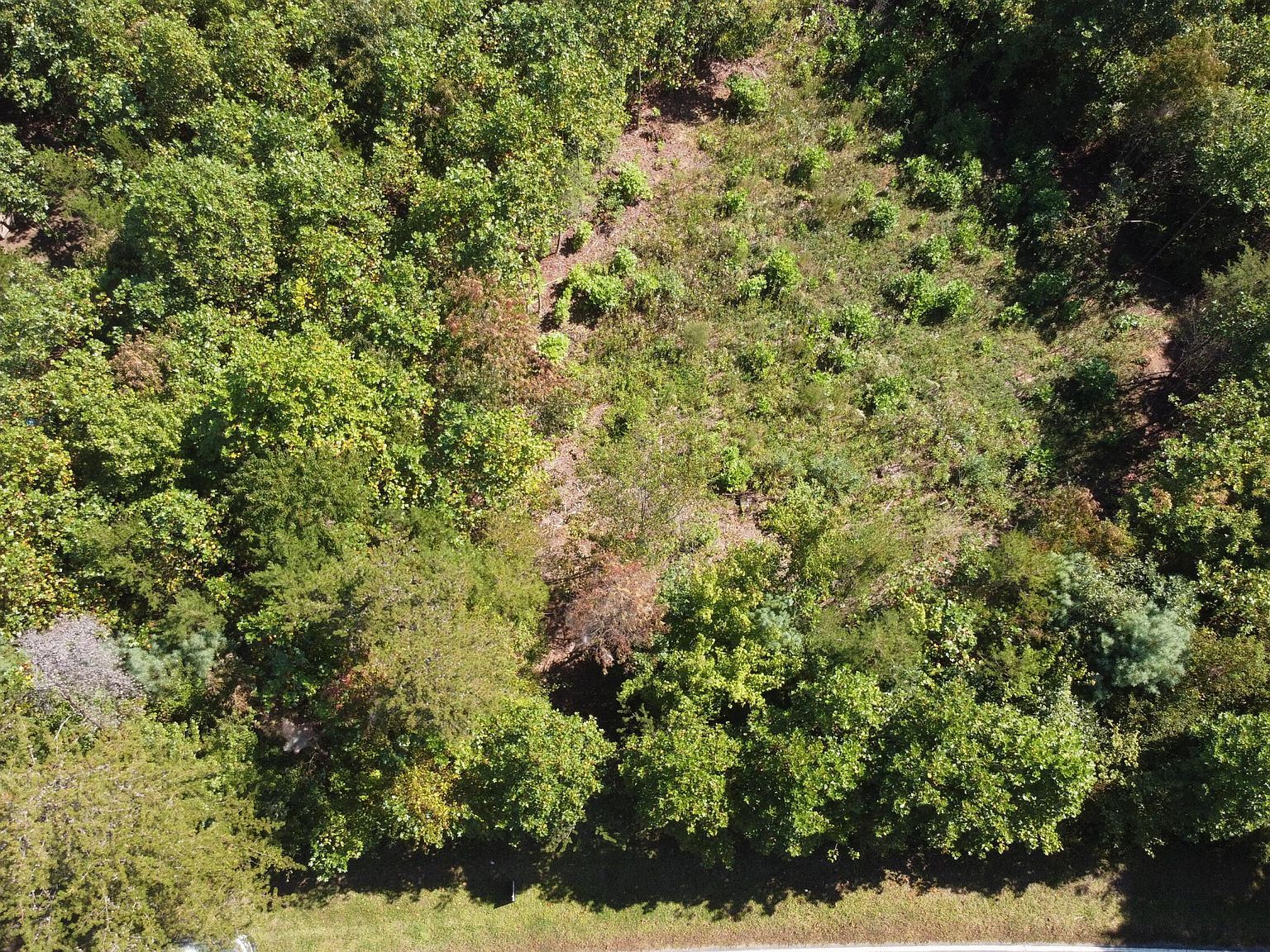 LOT 56 Billings Hill Church Rd Traphill, NC 28685  | Land/Lot